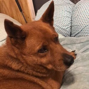 Meet your Posher, Laken